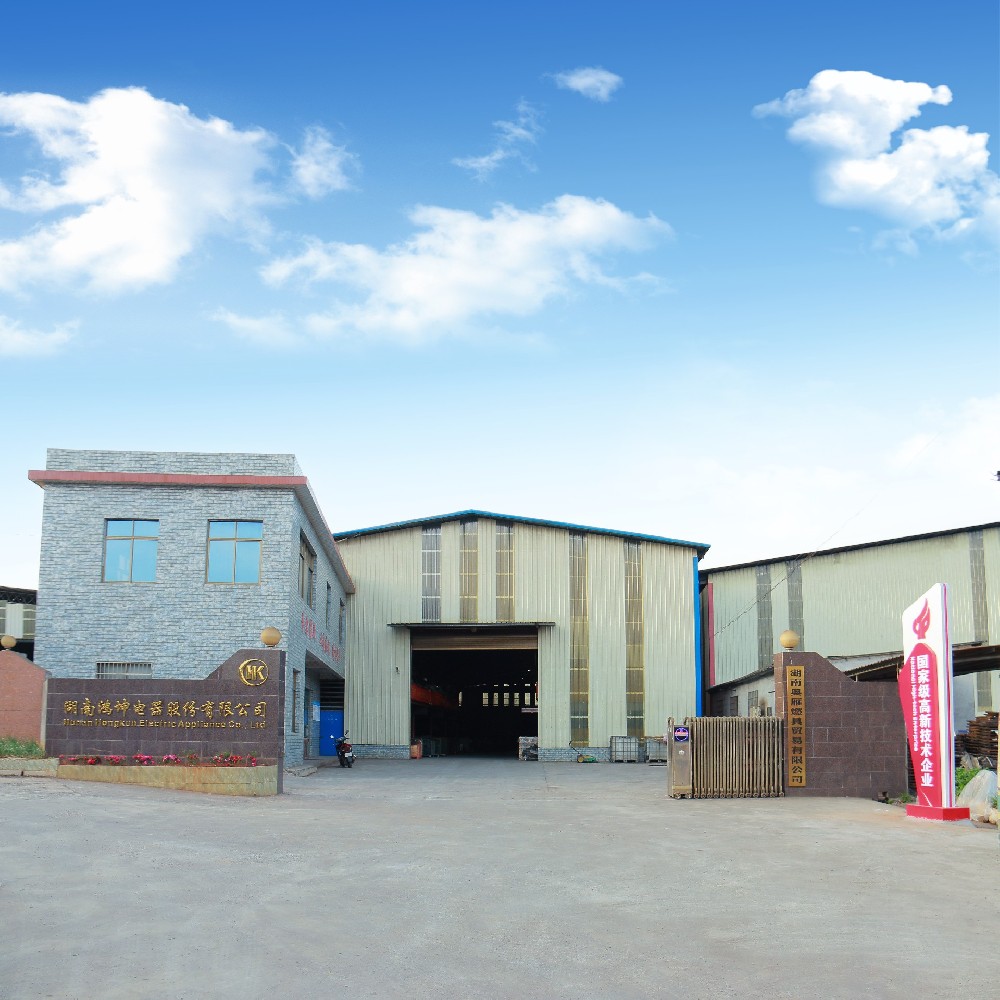 湖南鸿坤电器股份有限公司吸引国外客户的目光，共创合作共赢新篇章！
