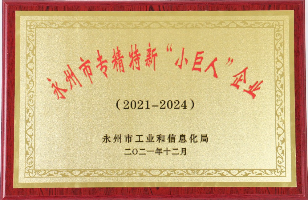 永州市专精特新“小巨人”企业